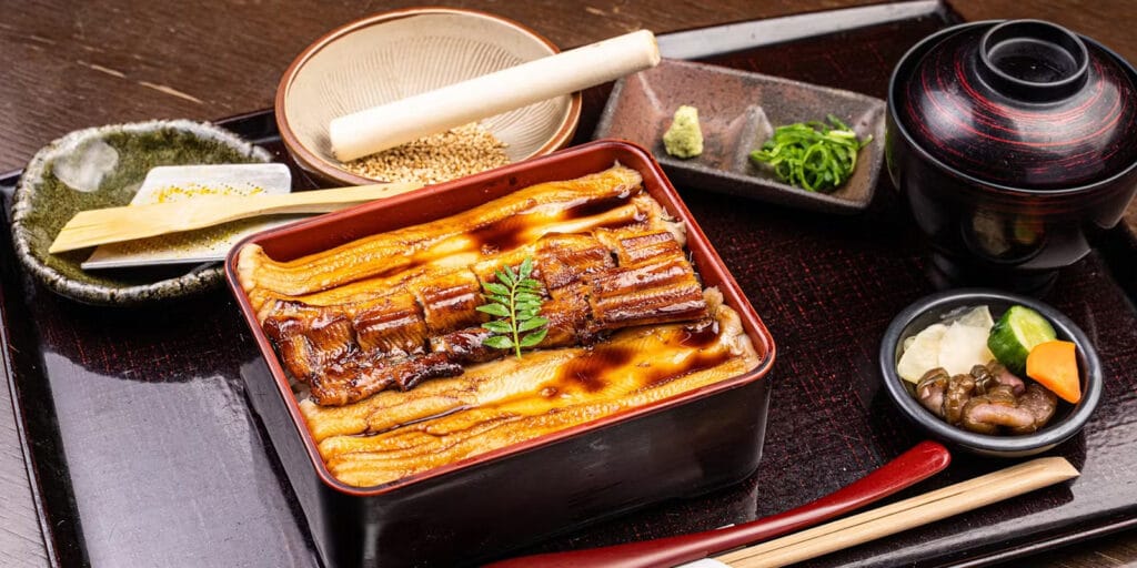 conger eel